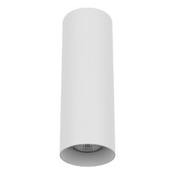Потолочный светильник Lightstar Rullo 216496